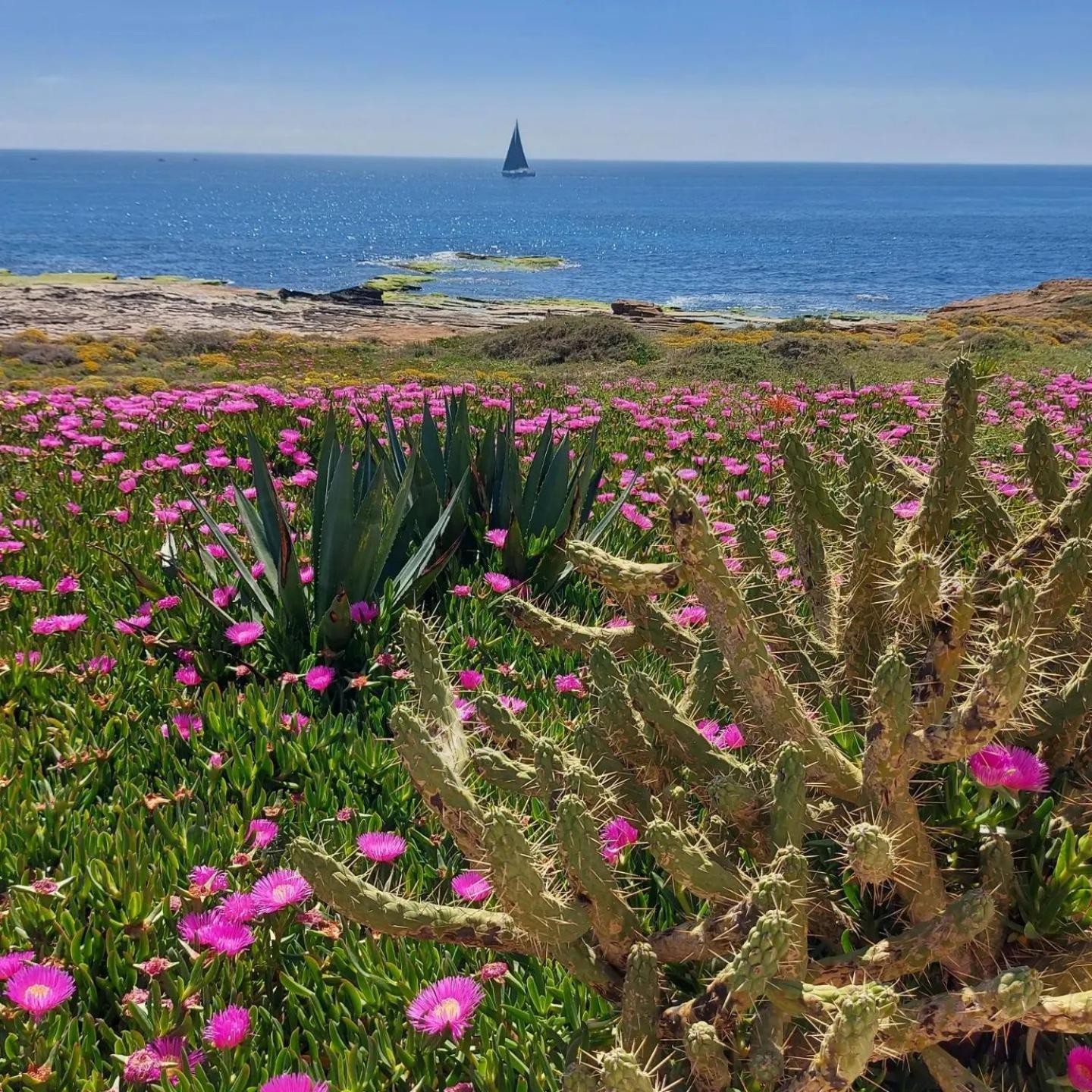 Maravillosa Terraza Con Vistas Al Mar, La Mata Torrevieja Bagian luar foto